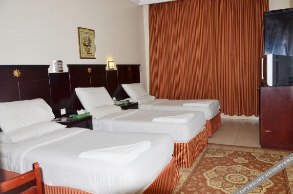 Al Bostan Al Masi Hotel image 29